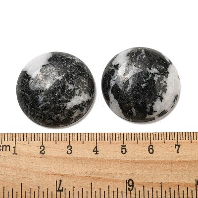 Natural Black Zebra Jasper Cabochons G-C115-02B-19-1