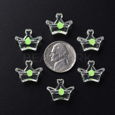Transparent Acrylic Beads MACR-S373-105-B06-1