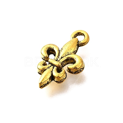 Tibetan Style Alloy Pendants X-TIBE-L008-15AG-1