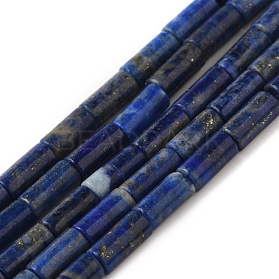 Natural Lapis Lazuli Beads Strands G-B091-A15-01-1