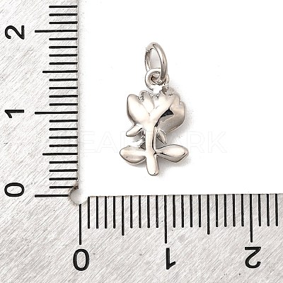 Brass Pendants KK-I364-44P-1