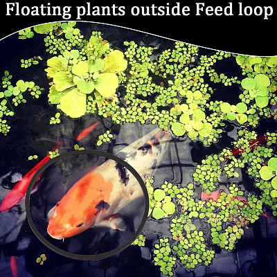 2 Sets EVA Foam Feeding Ring for Fish AJEW-CN0002-52A-1