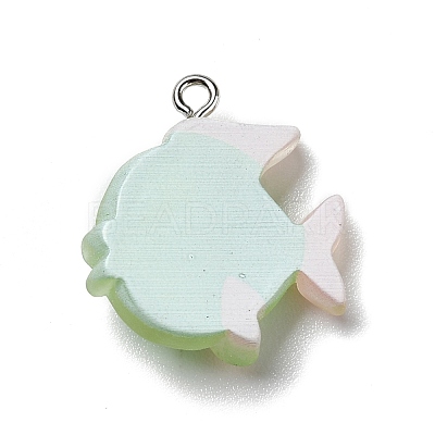 Opaque Resin Pendants RESI-D055-095P-1