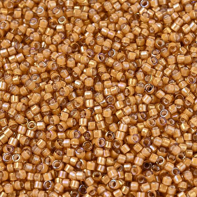 MIYUKI Delica Beads X-SEED-J020-DB1778-1