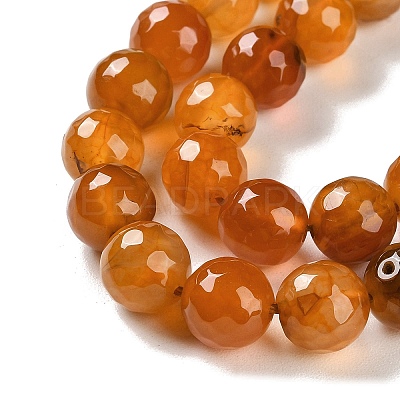 Natural Agate Beads Strands G-M437-B01-01L-1