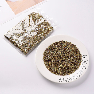 8/0 Glass Seed Beads X1-SEED-A009-3mm-601-1