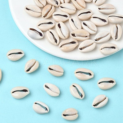 Natural Cowrie Shell Beads BSHE-O007-73-1