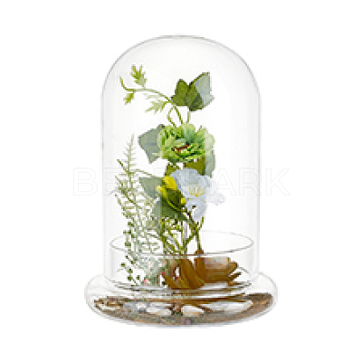 Glass Dome Cover DJEW-WH0099-06C-1
