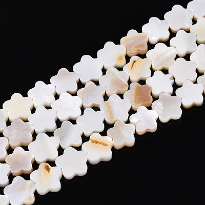 Natural Freshwater Shell Beads Strands SHEL-S276-111A-1