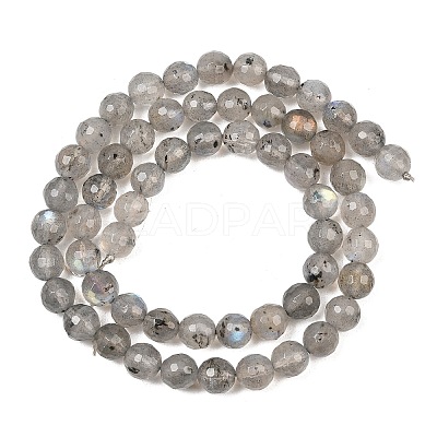 Natural Labradorite Beads Strands G-O176-04B-1