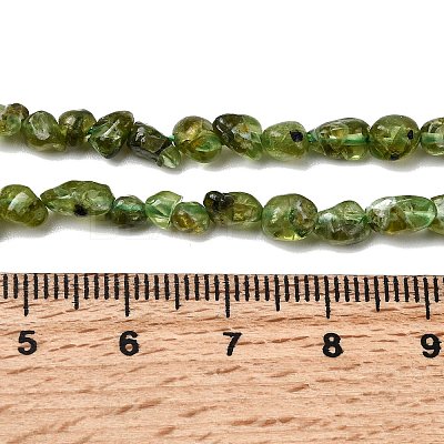 Natural Peridot Beads Strands G-P601-A01-01-1