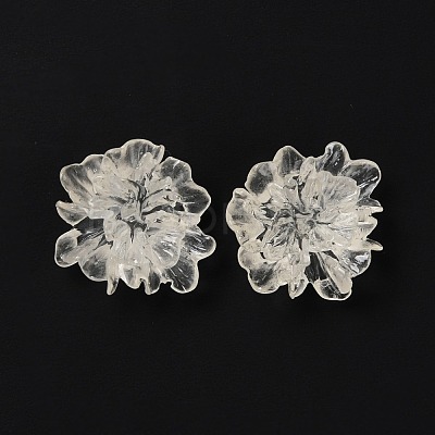 Transparent Resin Cabochons RESI-G027-01A-1