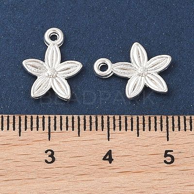 Tibetan Style Alloy Pendants K093E021-1