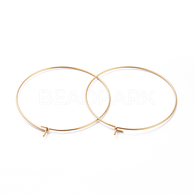 316 Surgical Stainless Steel Hoop Earring Findings X-STAS-J025-01F-G-1