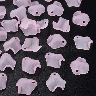 Transparent Acrylic Beads MACR-S373-106-D05-1