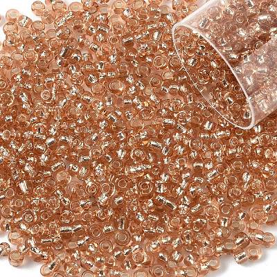 10G Glass Seed Beads SEED-YW0003-11I-1