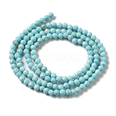 Natural Howlite Beads Strands G-C025-03B-01-1