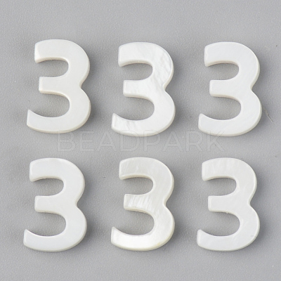 Natural Freshwater Shell Beads X-SSHEL-R048-005-03-1