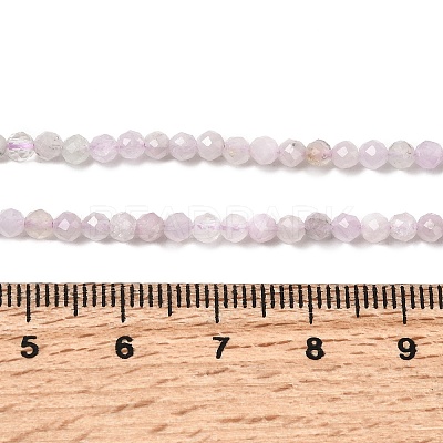 Natural Kunzite Beads Strands G-G343-B03-3mm-1