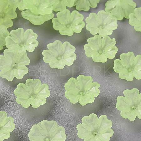 Transparent Frosted Acrylic Bead Caps MACR-S371-04A-728-1
