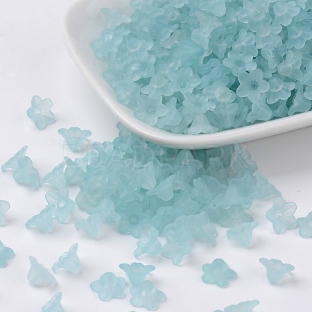 Transparent Acrylic Beads LS-X-PL554-11-1