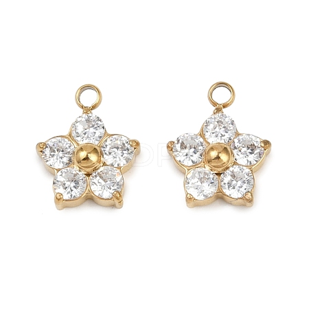 304 Stainless Steel Micro Pave Cubic Zirconia Charms STAS-B088-01G-02-1