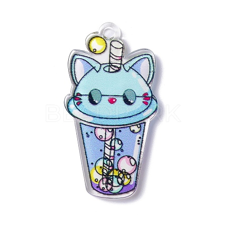 Transparent Printed Acrylic Pendants LS-TACR-G042-01E-1