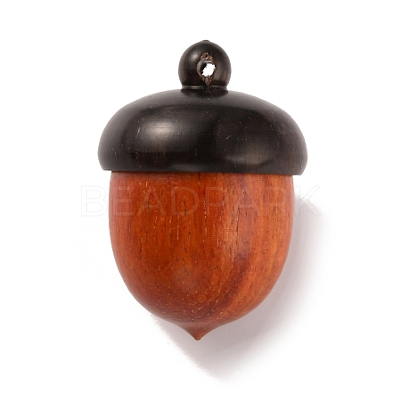 Wooden Acorn Box Jewelry Pendants WOOD-WH0022-06A-1