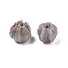 Handmade Lampwork Beads LAMP-T016-11B-3