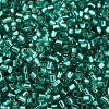 Glass Seed Beads X-SEED-S042-04B-29-3