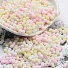 Macaron Color Opaque Frosted Glass Seed Beads SEED-K009-12B-13-1