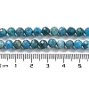 Natural Apatite Beads Strands G-J400-E01-04-4