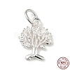 925 Sterling Silver Charms STER-NH0001-34S-1