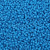 Baking Paint Glass Seed Beads SEED-S001-K17-2