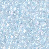 FGB Inside Colours Transparent Glass Seed Beads SEED-T009-01D-2