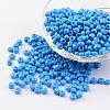 6/0 Baking Paint Glass Seed Beads X-SEED-S003-K17-1