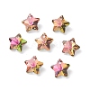 Electroplate Glass Charms GLAA-H104-A09-1