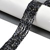 Natural Sapphire Beads Strands G-P553-G07-01-2