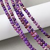Dyed Natural Regalite/Imperial Jasper/Sea Sediment Jasper Beads Strands G-B124-C05-07-5