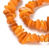 Natural Freshwater Shell Beads Strands BSHE-I016-01I-3