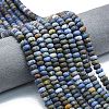 Natural Dumortierite Beads Strands G-P575-A48-8x5mm-1