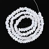 Frosted Transparent Glass Beads Strands GLAA-N054-4mm-01-2