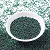 MIYUKI Round Rocailles Beads SEED-G007-RR0289-2