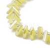 Electroplate Glass Beads Strands EGLA-S176-05A-B13-3