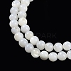 Natural Cultured Freshwater Shell Beads Strands BSHE-H109-03B-4