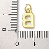 Rack Plating Brass Charms KK-P245-06G-B-3
