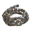 Natural Labradorite Beads Strands G-A279-A01-01-3