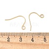 316 Surgical Stainless Steel Earring Hooks STAS-Z124-02C-G-3