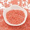Baking Paint Glass Seed Beads SEED-S042-15B-29-2