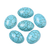 Synthetic Turquoise Cabochons TURQ-S291-01D-01-2